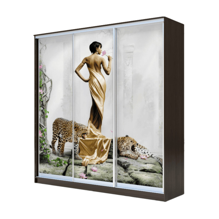 Шкаф-купе Хит-23-20-777 Венге магия, Девушка с леопардом