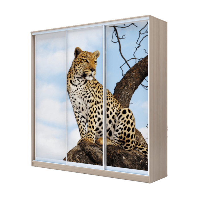 Шкаф-купе Хит-24-20-777 Ясень шимо светлый, Леопард