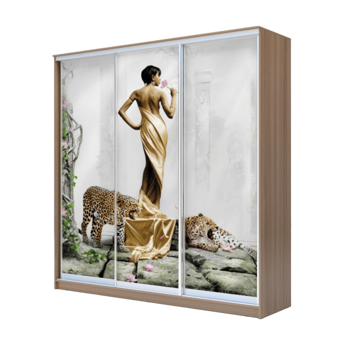 Шкаф-купе Хит-23-20-777 Ясень шимо тёмный, Девушка с леопардом