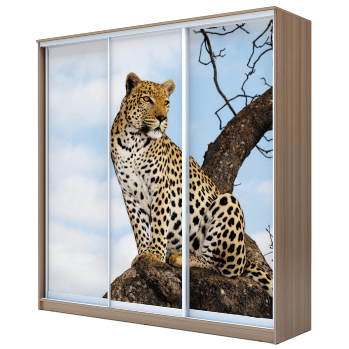 Шкаф-купе Хит-24-20-777 Ясень шимо тёмный, Леопард