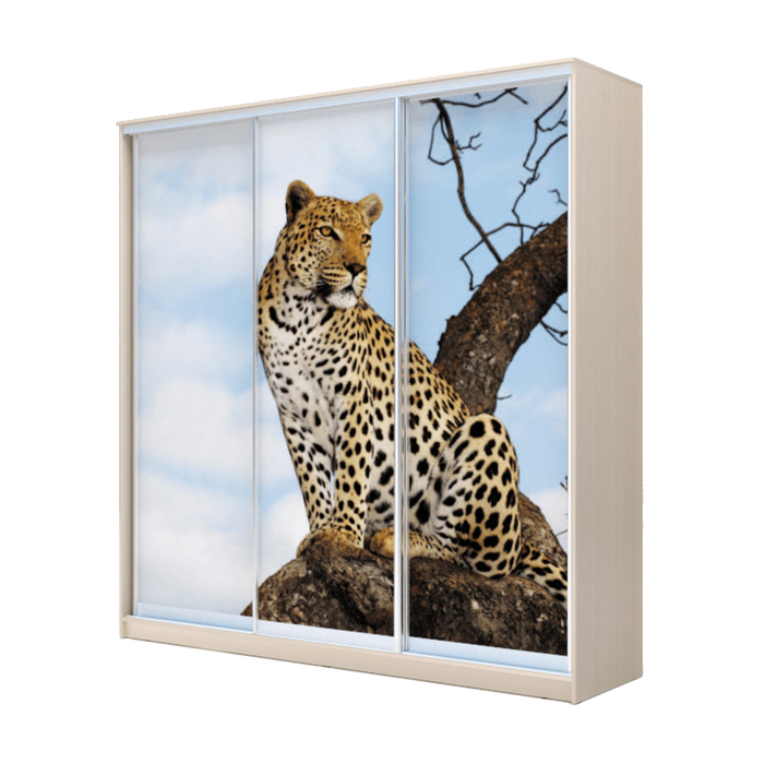 Шкаф-купе Хит-23-20-777 Дуб девонширский, Леопард