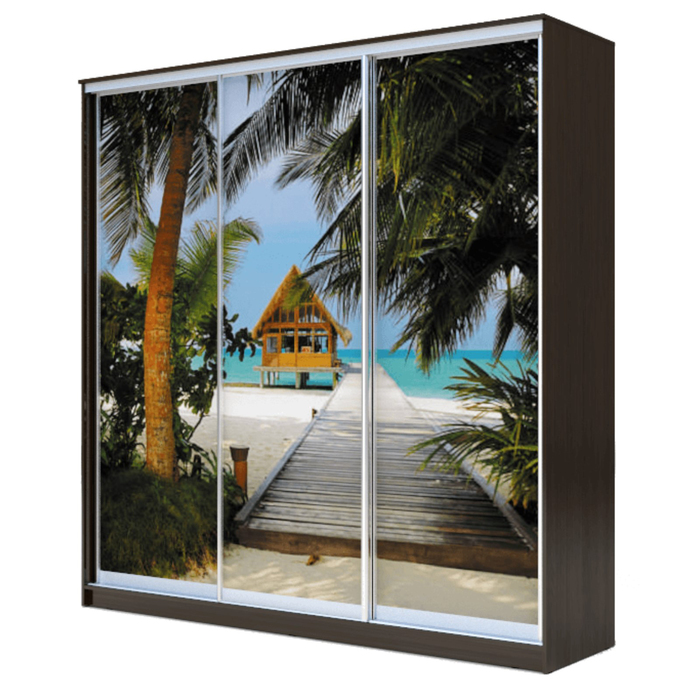 Шкаф-купе Хит-23-20-777 Венге магия, Море