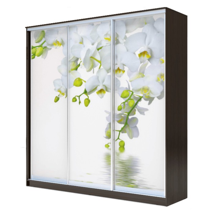 Шкаф-купе Хит-24-20-777 Венге магия, Орхидея