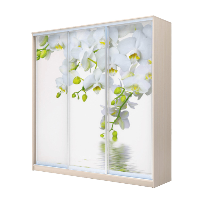 Шкаф-купе Хит-24-20-777 Дуб девонширский, Орхидея