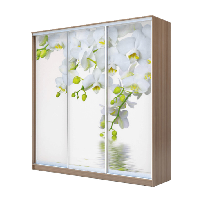 Шкаф-купе Хит-24-20-777 Ясень шимо тёмный, Орхидея