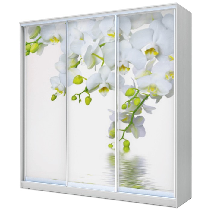 Шкаф-купе Хит-24-20-777 Белый, Орхидея