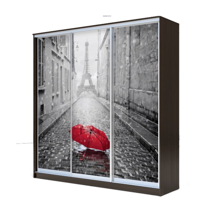 Шкаф-купе Хит-23-20-777 Венге магия, Париж