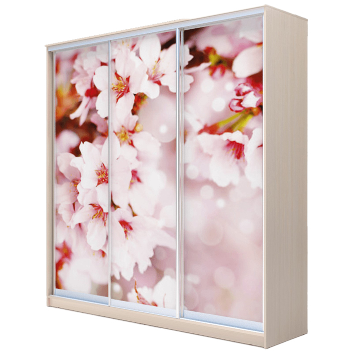 Шкаф-купе Хит-24-20-777 Дуб девонширский, Сакура