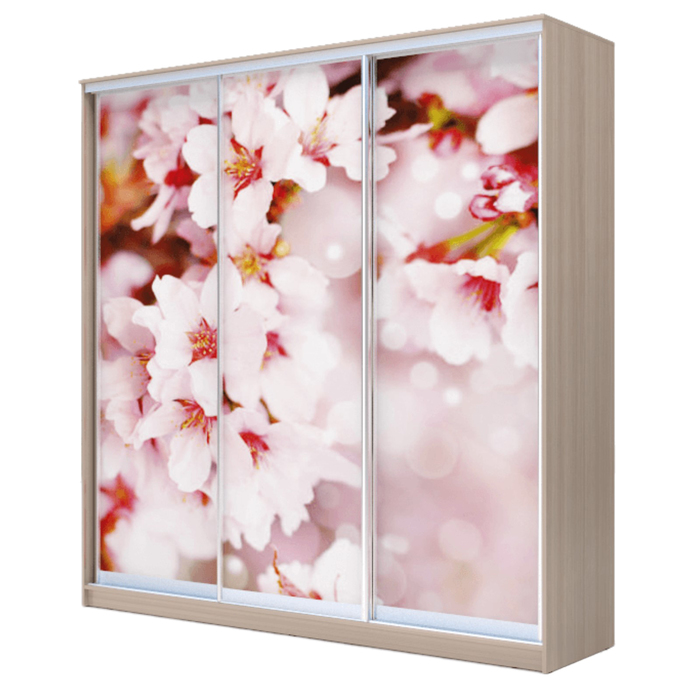Шкаф-купе Хит-24-20-777 Ясень шимо светлый, Сакура
