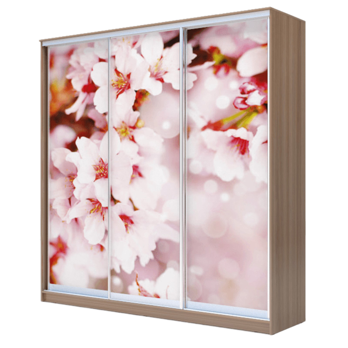 Шкаф-купе Хит-24-20-777 Ясень шимо тёмный, Сакура