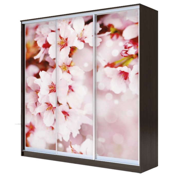 Шкаф-купе Хит-23-20-777 Венге магия, Сакура