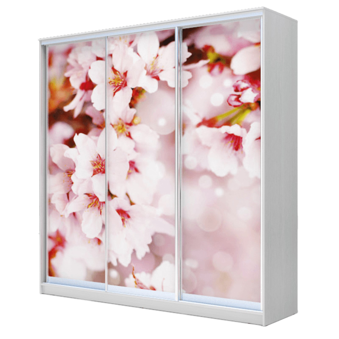 Шкаф-купе Хит-24-20-777 Белый, Сакура