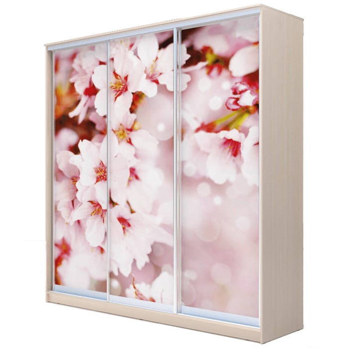 Шкаф-купе Хит-23-20-777 Дуб девонширский, Сакура