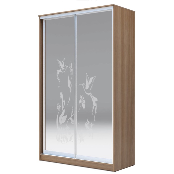 Шкаф-купе Хит-24-12-66 Ясень шимо тёмный, Колибри