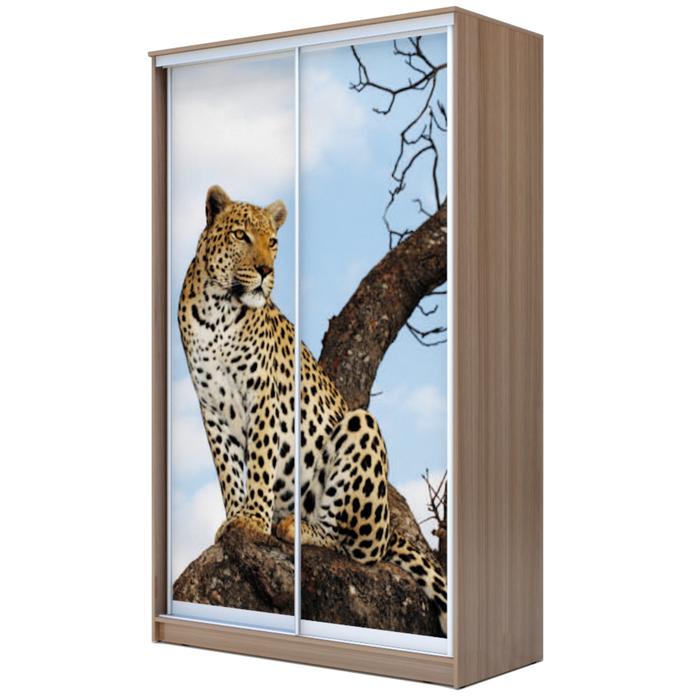 Шкаф-купе Хит-24-12-77 Ясень шимо тёмный, Леопард