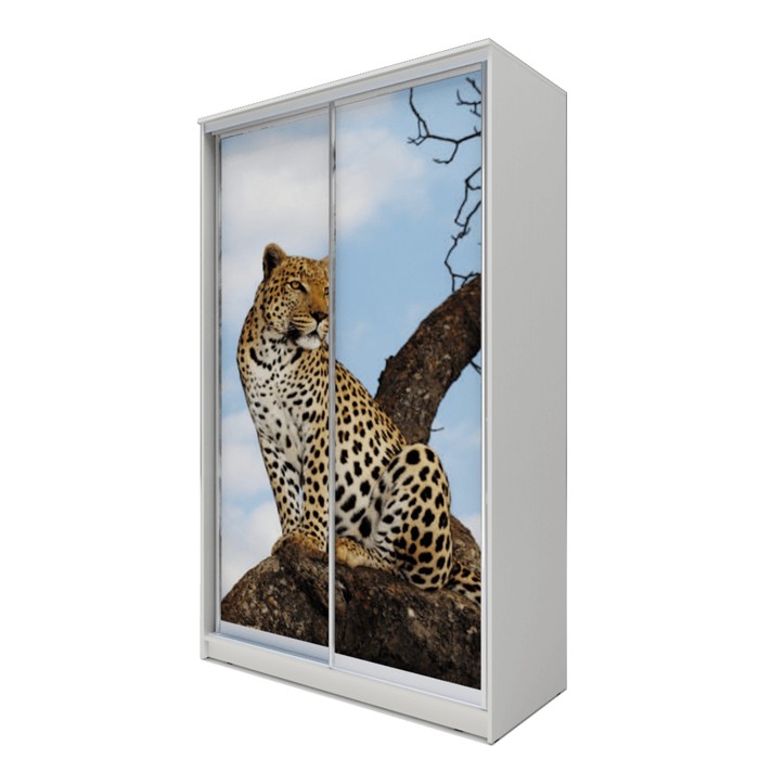 Шкаф-купе Хит-24-12-77 Белый, Леопард