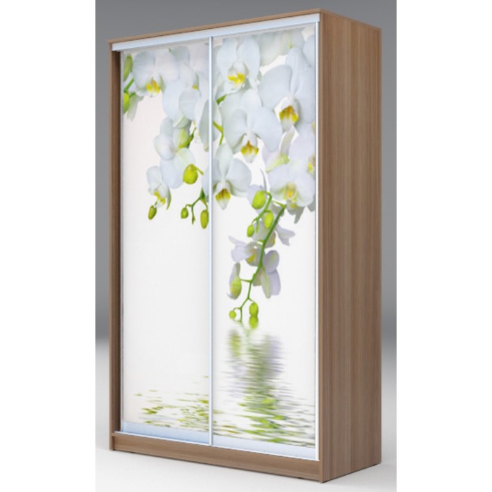 Шкаф-купе Хит-24-12-77 Ясень шимо тёмный, Орхидея