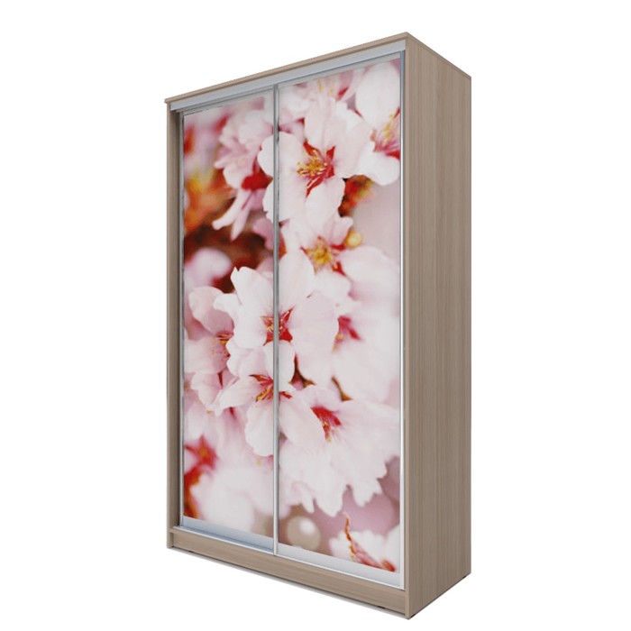 Шкаф-купе Хит-24-12-77 Ясень шимо светлый, Сакура