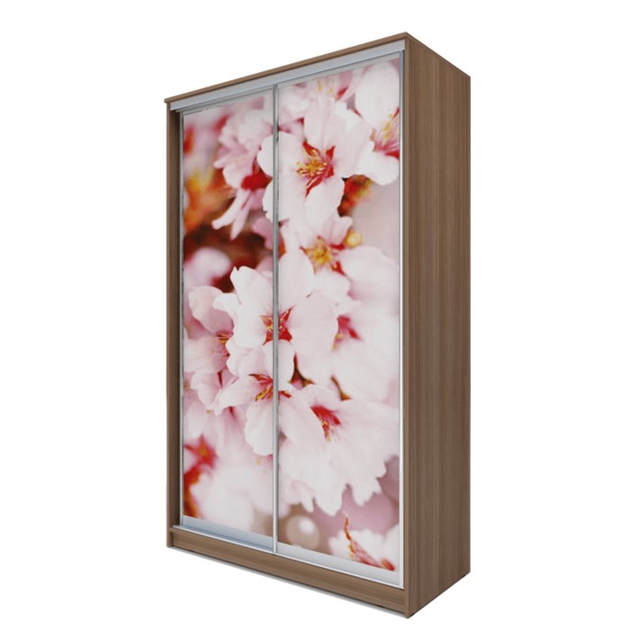 Шкаф-купе Хит-24-12-77 Ясень шимо тёмный, Сакура