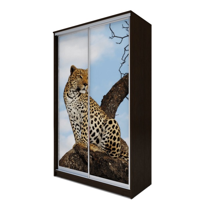 Шкаф-купе Хит-24-14-77  Венге магия, Леопард