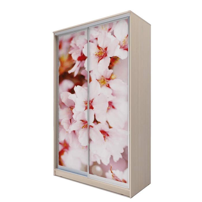 Шкаф-купе Хит-23-12-77  Дуб девонширский, Сакура