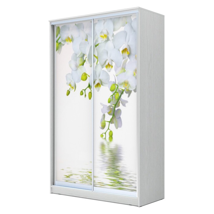 Шкаф-купе Хит-24-14-77 Белый, Орхидея