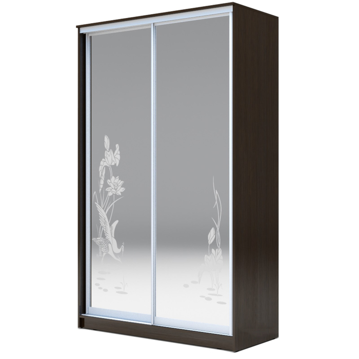 Шкаф-купе Хит-23-14-66  Венге магия, цапли