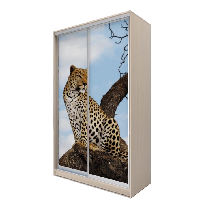 Шкаф-купе Хит-23-14-77  Дуб девонширский, Леопард