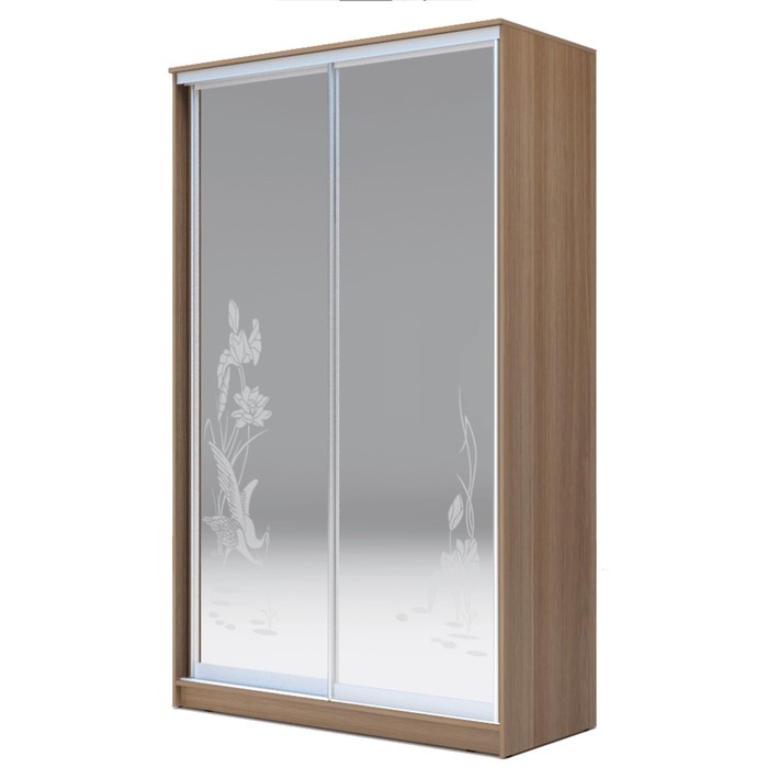 Шкаф-купе Хит-24-17-66 Ясень шимо тёмный, Цапли