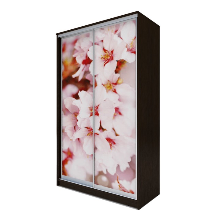 Шкаф-купе Хит-23-14-77  Венге магия, Сакура