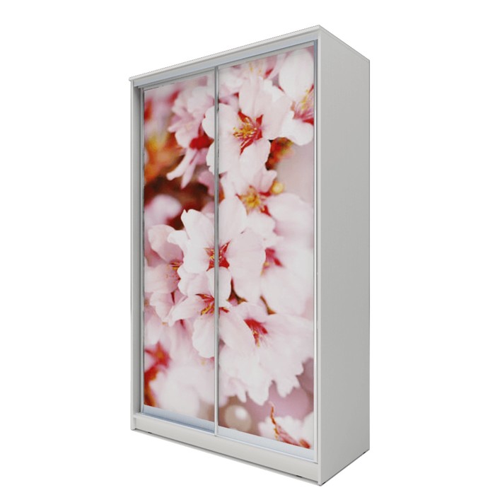 Шкаф-купе Хит-23-14-77 Белый, Сакура