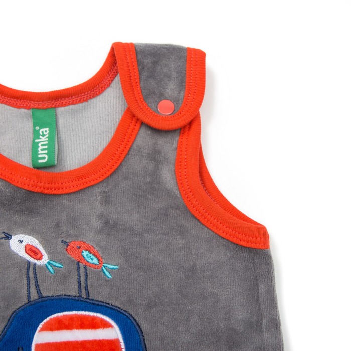 Комплект детский (джемпер,комбинезон), рост 62 см, цвет красный/серый