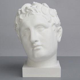 

Гипсовая фигура, Голова Апоксиомена «Мастерская Экорше», 20.5х26х32 см