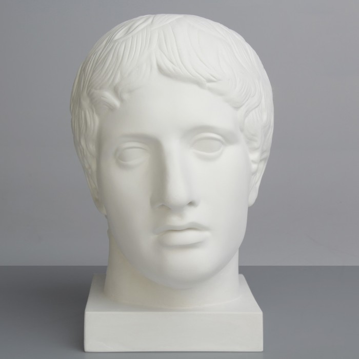 Гипсовая фигура Академическая Голова Дорифора 21*29*35 10-128