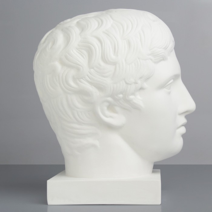 Гипсовая фигура, голова Дорифора «Мастерская Экорше», 21 х 29 х 35 см