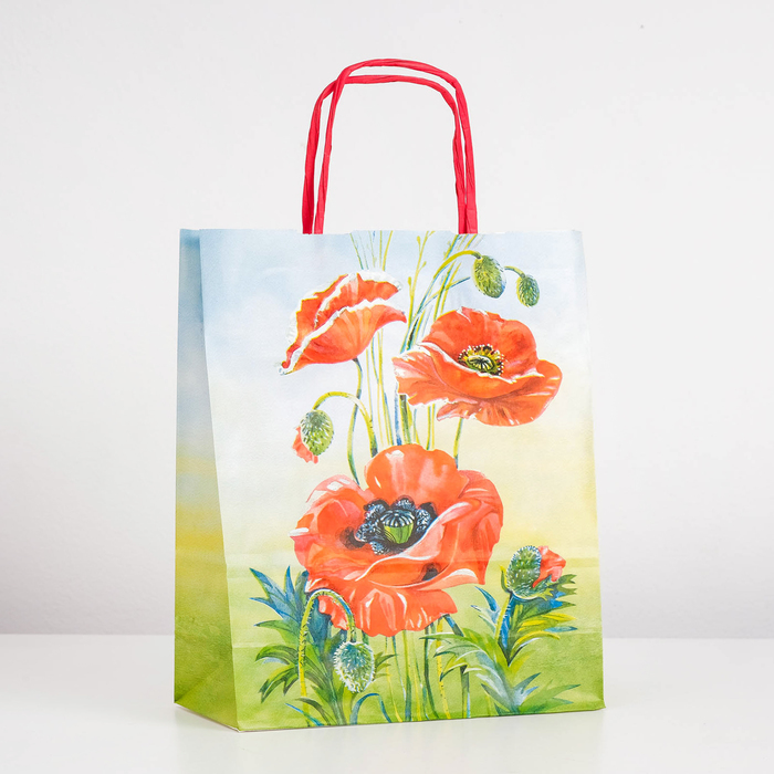 Пакет крафт "Мак". 25 x 11 x 32 см