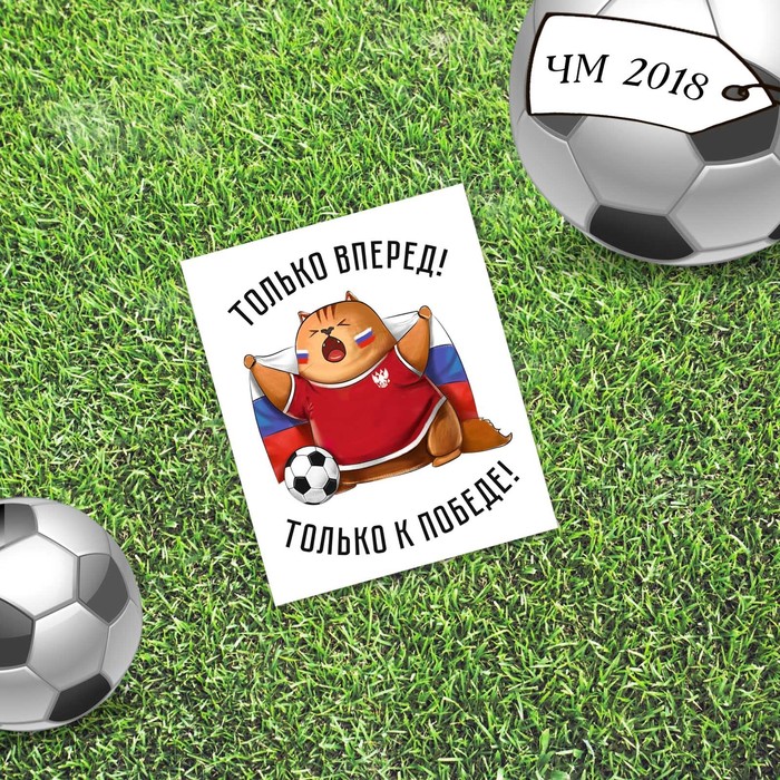 Открытка мини–формата одинарная «Футбол», котик, 9 х 10 см