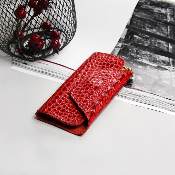 Ключница, отдел на кнопках, 6 карабинов, кайман, цвет красный