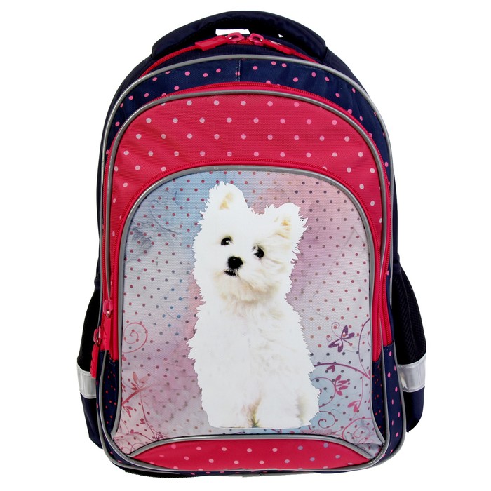 Рюкзак школьный эргоном.спинка 4ALL дев 39*28*16 "Собачка" синий/розовый RU 75-01