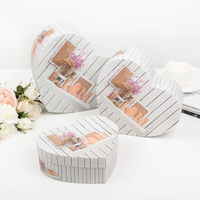 Набор коробок 3в1 "Домашний уют", 24 х 21 х 10 - 19 х 16,5 х 7 см