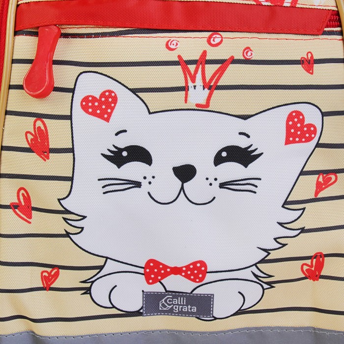 Рюкзак школьный с эргономической спинкой "Кошечки", 39 х 24 х 19 см