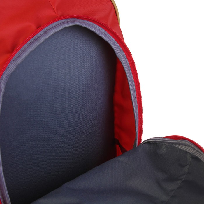 Рюкзак школьный с эргономической спинкой "Кошечки", 39 х 24 х 19 см