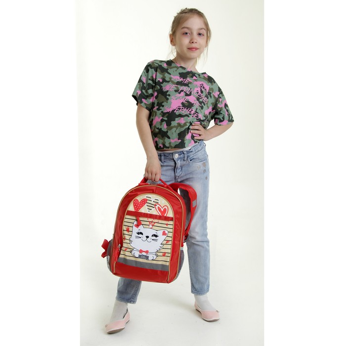 Рюкзак школьный с эргономической спинкой "Кошечки", 39 х 24 х 19 см