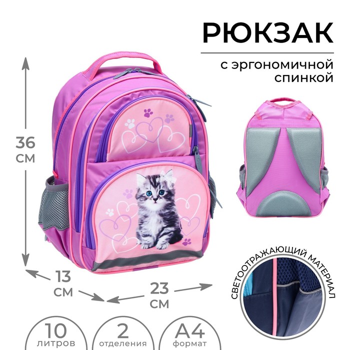 Рюкзак школьный, 36 х 23 х 13 см, эргономичная спинка, Calligrata П 