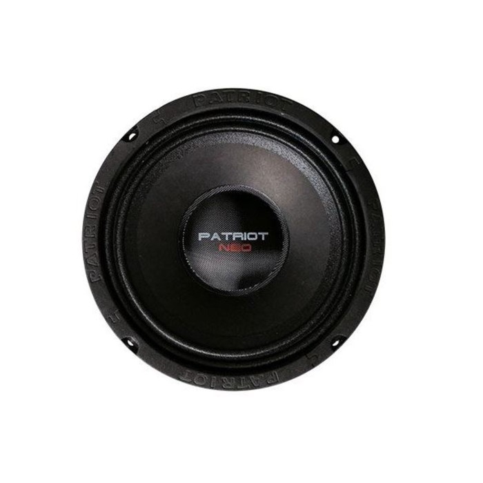 Акустическая система Ural AS-PT165 PATRIOT NEO, 16.5 см, 300 Вт