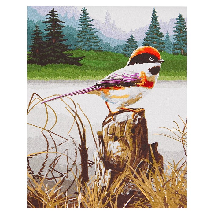 Рисование по номерам "Птичка"