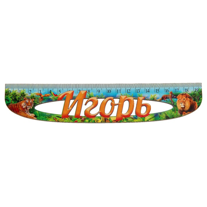 Линейка именная мужская "Игорь" 20см