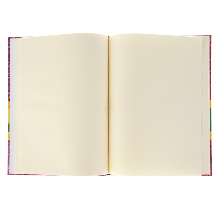 Бизнес-блокнот (скетчбук) А4, 80 листов "Нарисуй мечту", твёрдая обложка, матовая ламинация, тонированный блок, микс