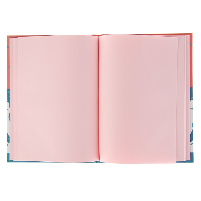 Бизнес-блокнот (скетчбук) А5, 80 листов "Pink and Blue", твёрдая обложка, матовая ламинация, тонированный блок, микс