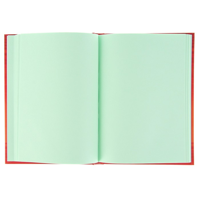 Бизнес-блокнот (скетчбук) А5, 80 листов Sketch, твёрдая обложка, матовая ламинация, тонированный блок, микс